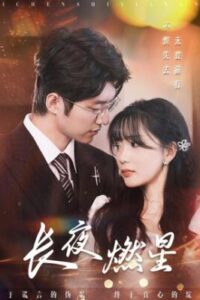 ลิขิตรักใต้แสงดาว